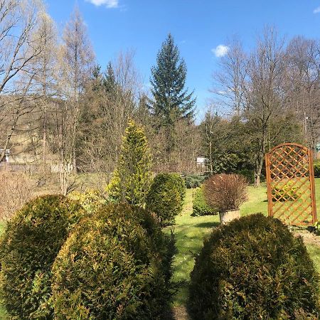 Apartament Halina Διαμέρισμα Lądek-Zdrój Εξωτερικό φωτογραφία