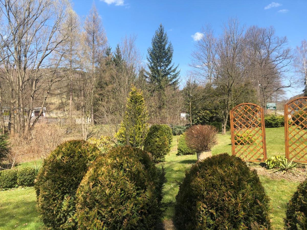 Apartament Halina Διαμέρισμα Lądek-Zdrój Εξωτερικό φωτογραφία