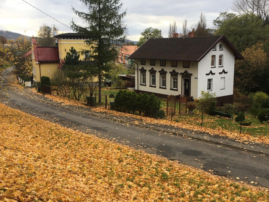 Apartament Halina Διαμέρισμα Lądek-Zdrój Εξωτερικό φωτογραφία