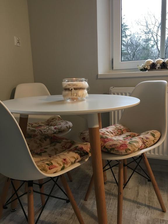 Apartament Halina Διαμέρισμα Lądek-Zdrój Εξωτερικό φωτογραφία